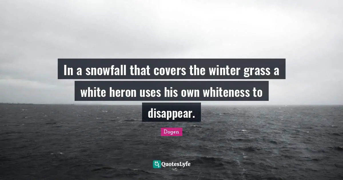 In a snowfall that covers the winter grass a white heron uses his own whiteness to disappear.