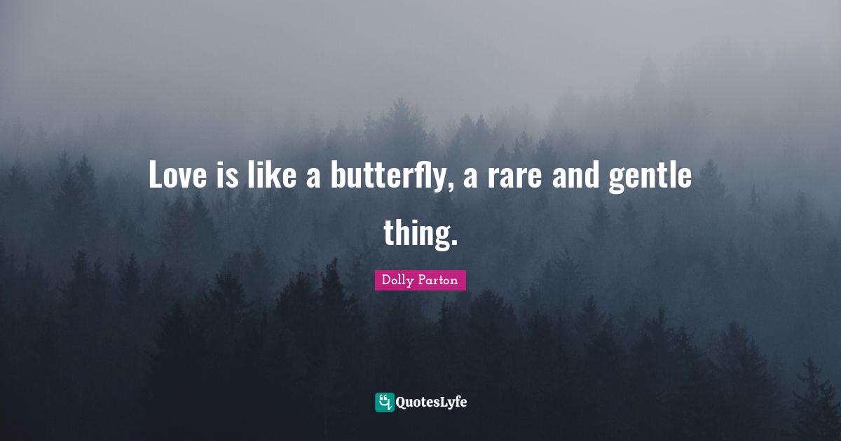 Love is like a butterfly, a rare and gentle thing.