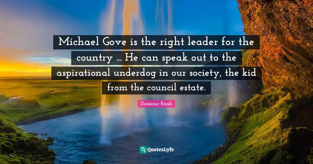 Michael Gove is the right leader for the country ... He can speak out to the aspirational underdog in our society, the kid from the council estate.