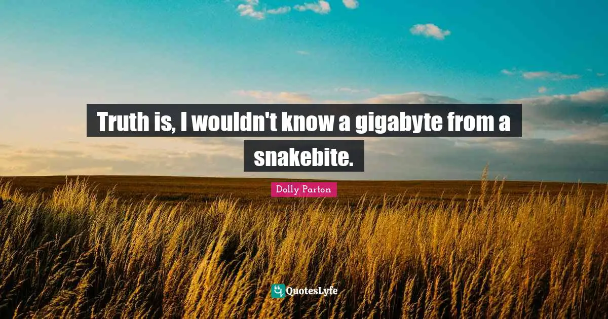 Truth is, I wouldn't know a gigabyte from a snakebite.