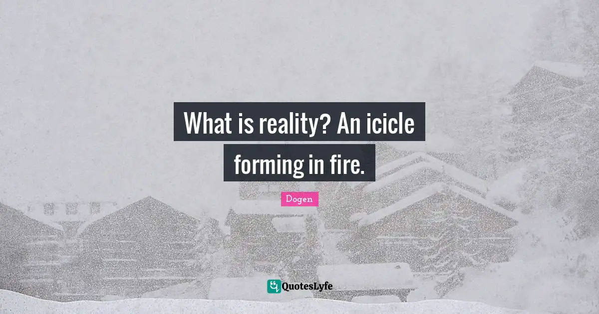 What is reality? An icicle forming in fire.