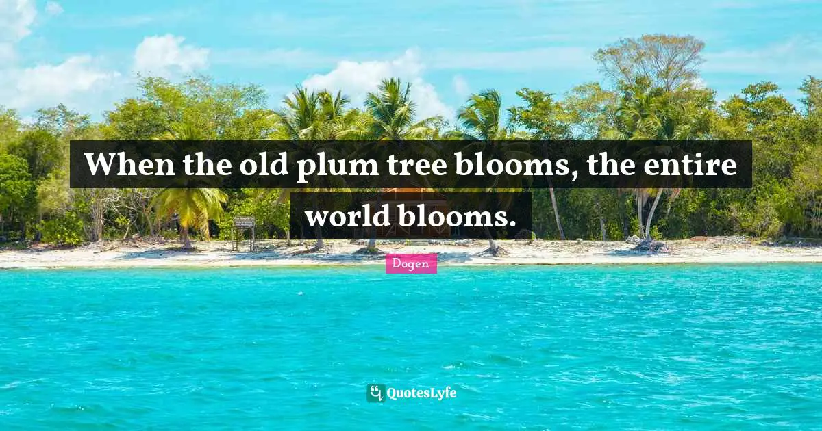 When the old plum tree blooms, the entire world blooms.