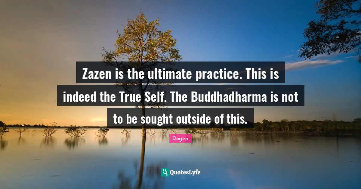 Zazen is the ultimate practice. This is indeed the True Self. The Buddhadharma is not to be sought outside of this.