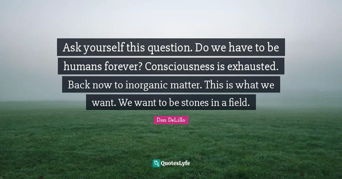 Ask yourself this question. Do we have to be humans forever? Consciousness is exhausted. Back now to inorganic matter. This is what we want. We want to be stones in a field.