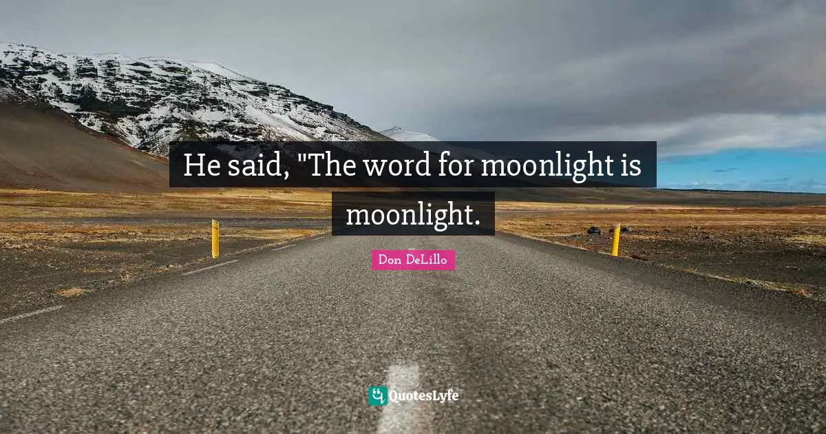 He said, "The word for moonlight is moonlight.