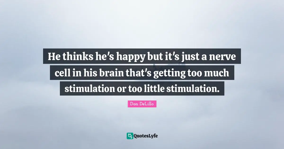 He thinks he's happy but it's just a nerve cell in his brain that's getting too much stimulation or too little stimulation.