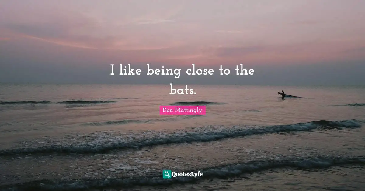 I like being close to the bats.