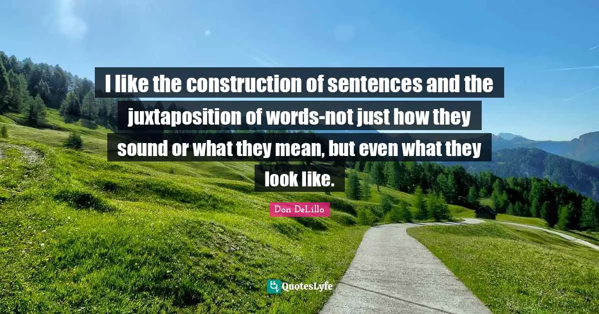 I like the construction of sentences and the juxtaposition of words-not just how they sound or what they mean, but even what they look like.
