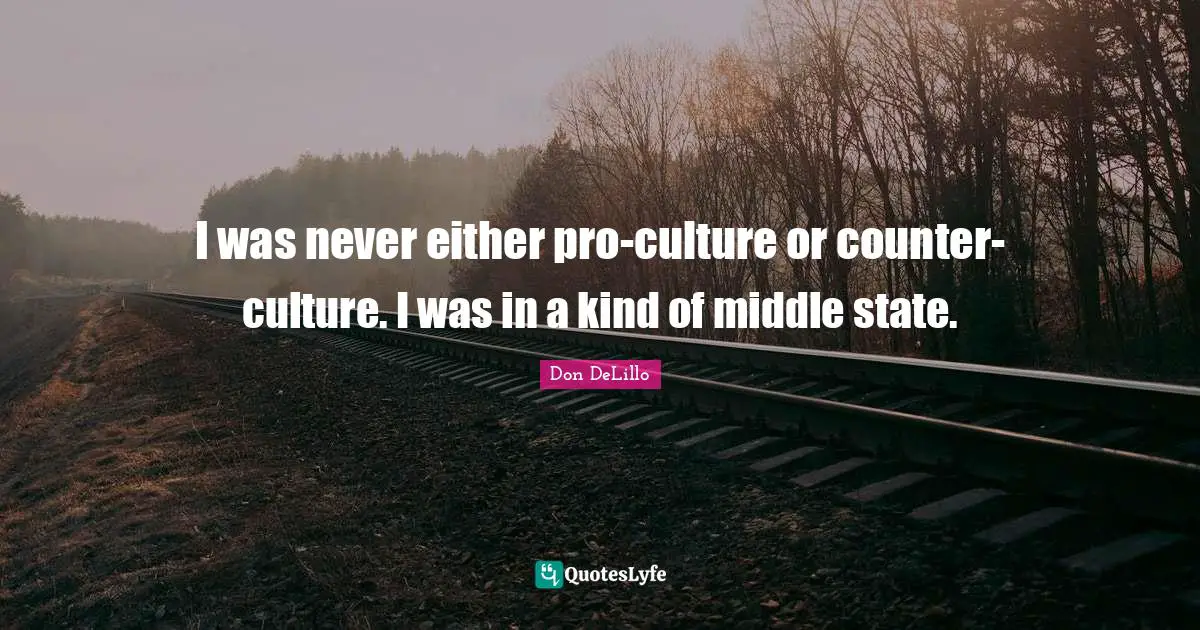 I was never either pro-culture or counter-culture. I was in a kind of middle state.