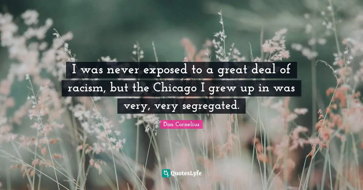 I was never exposed to a great deal of racism, but the Chicago I grew up in was very, very segregated.