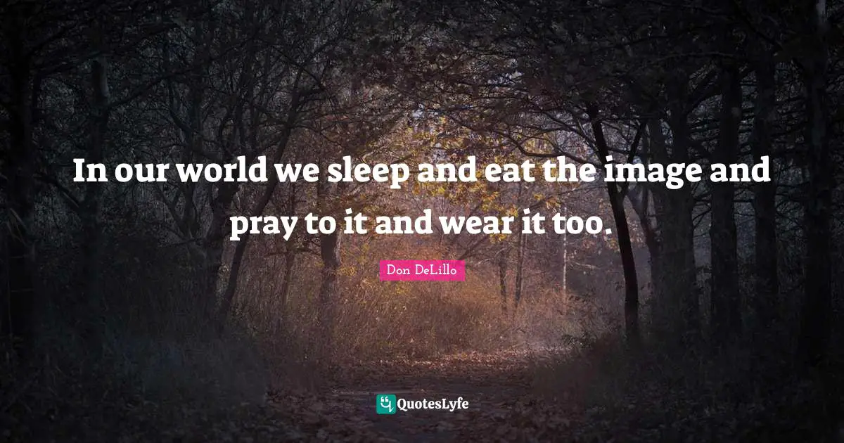 In our world we sleep and eat the image and pray to it and wear it too.