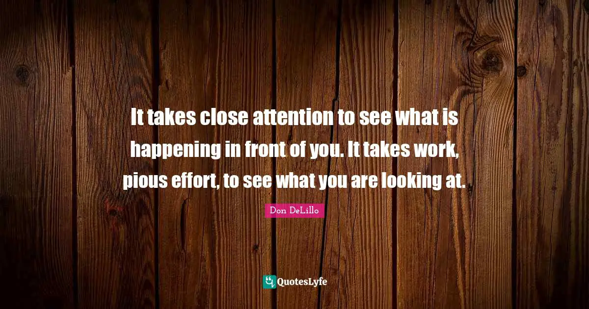 It takes close attention to see what is happening in front of you. It takes work, pious effort, to see what you are looking at.