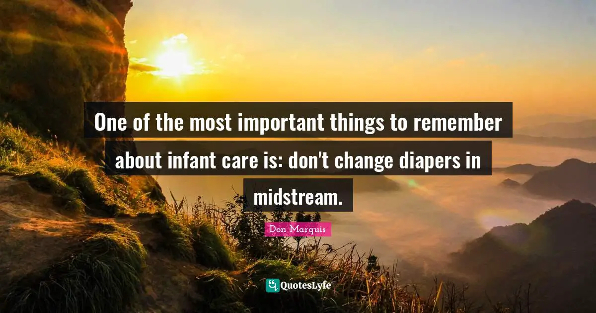 One of the most important things to remember about infant care is: don't change diapers in midstream.