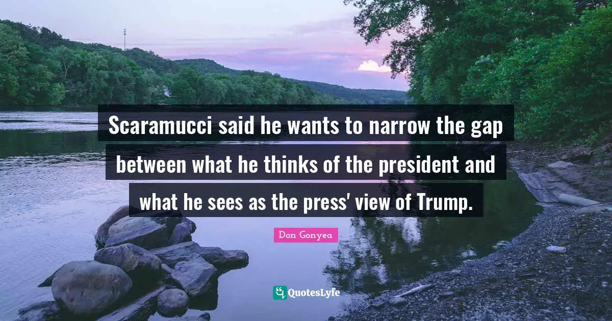 Scaramucci said he wants to narrow the gap between what he thinks of the president and what he sees as the press' view of Trump.