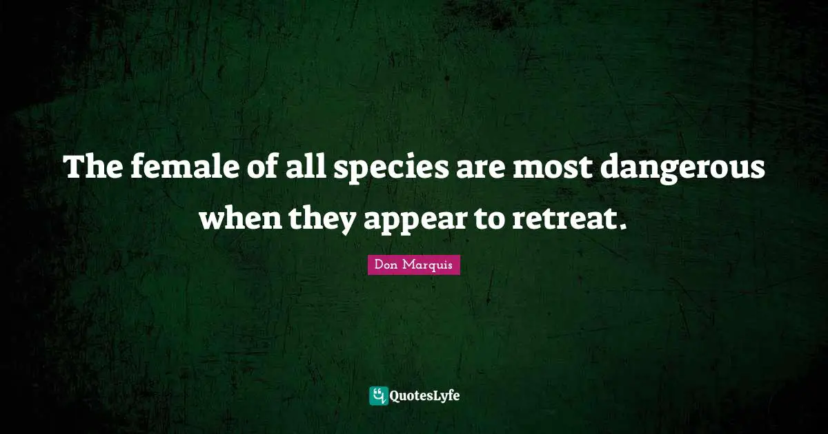 The female of all species are most dangerous when they appear to retreat.