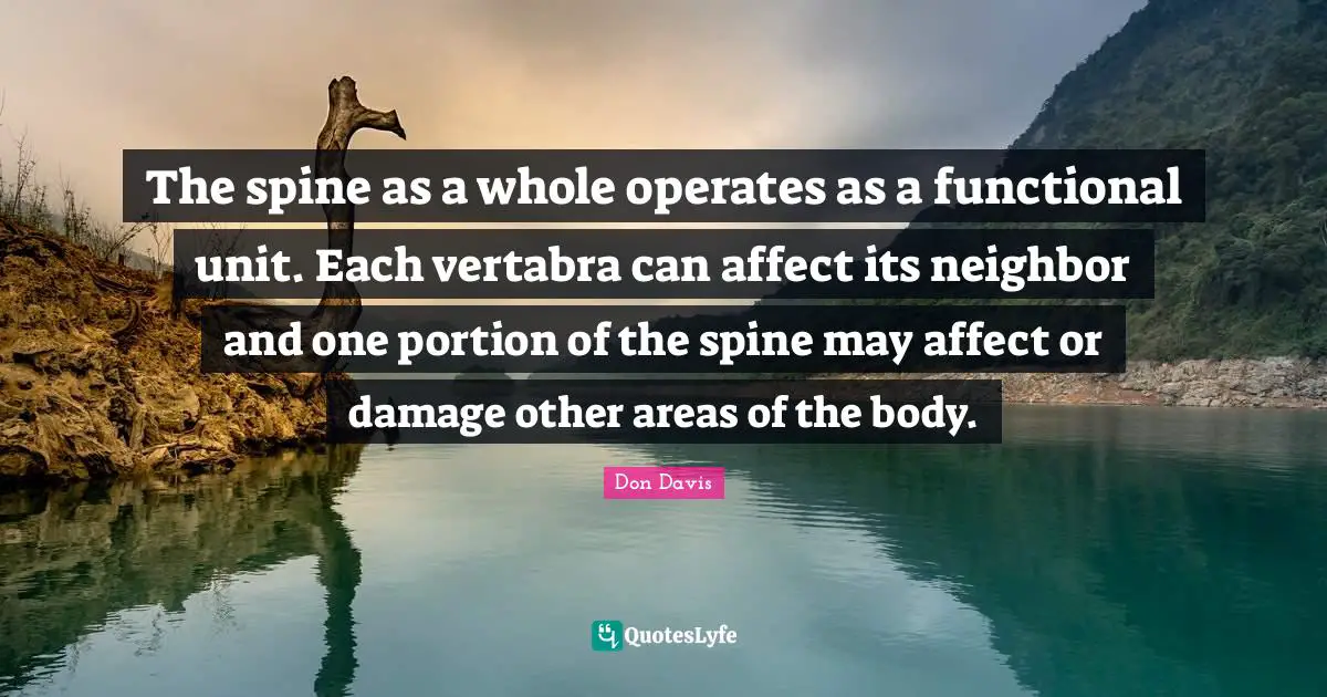 The spine as a whole operates as a functional unit. Each vertabra can affect its neighbor and one portion of the spine may affect or damage other areas of the body.