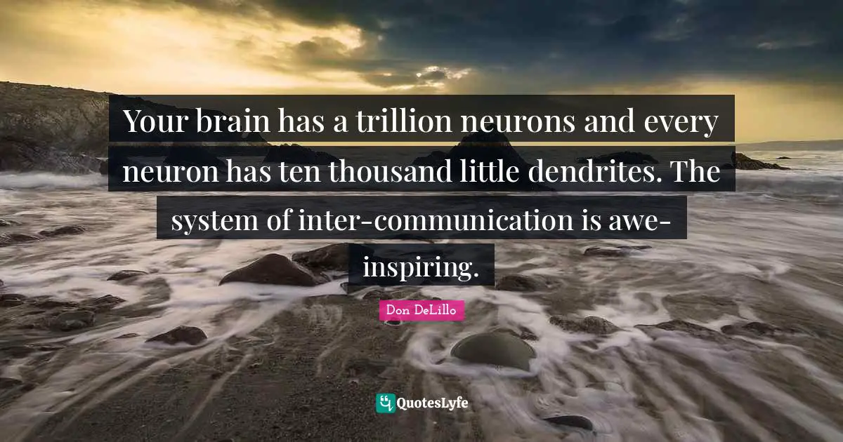 Your brain has a trillion neurons and every neuron has ten thousand little dendrites. The system of inter-communication is awe-inspiring.