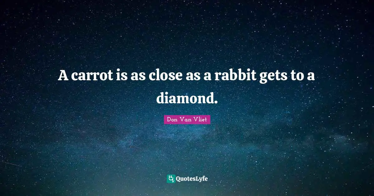 A carrot is as close as a rabbit gets to a diamond.