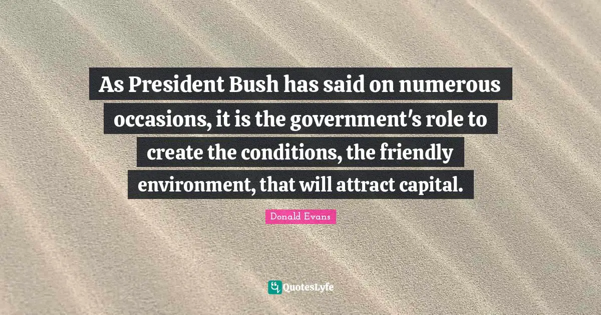As President Bush has said on numerous occasions, it is the government's role to create the conditions, the friendly environment, that will attract capital.