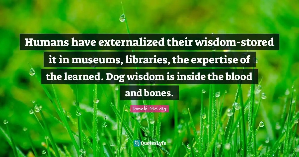 Humans have externalized their wisdom-stored it in museums, libraries, the expertise of the learned. Dog wisdom is inside the blood and bones.