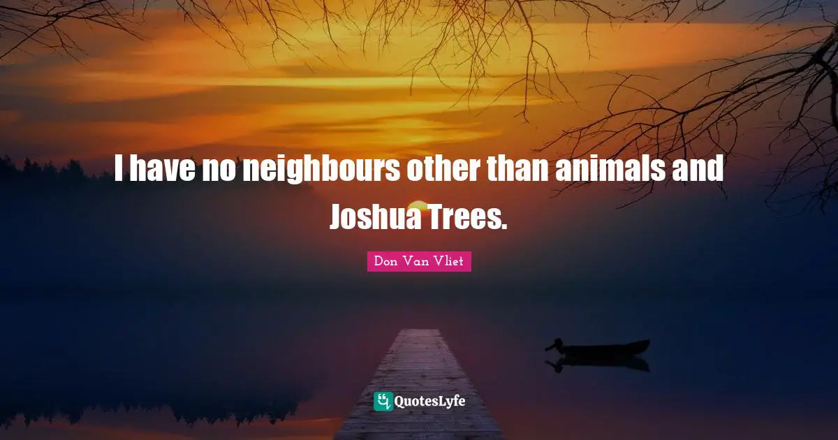 I have no neighbours other than animals and Joshua Trees.