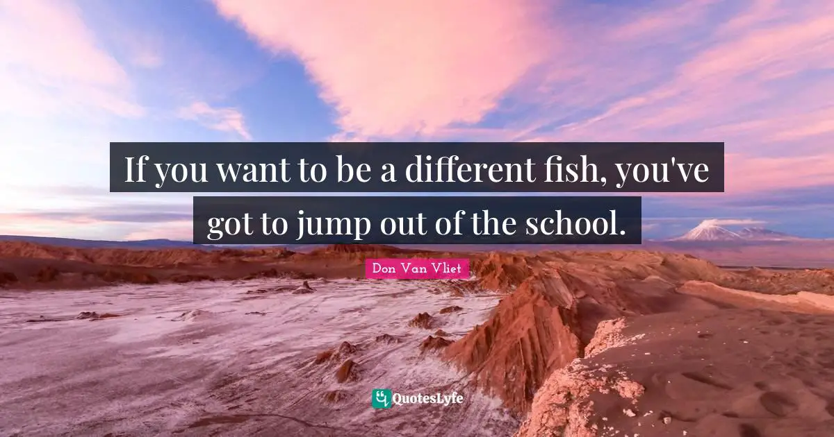 If you want to be a different fish, you've got to jump out of the school.