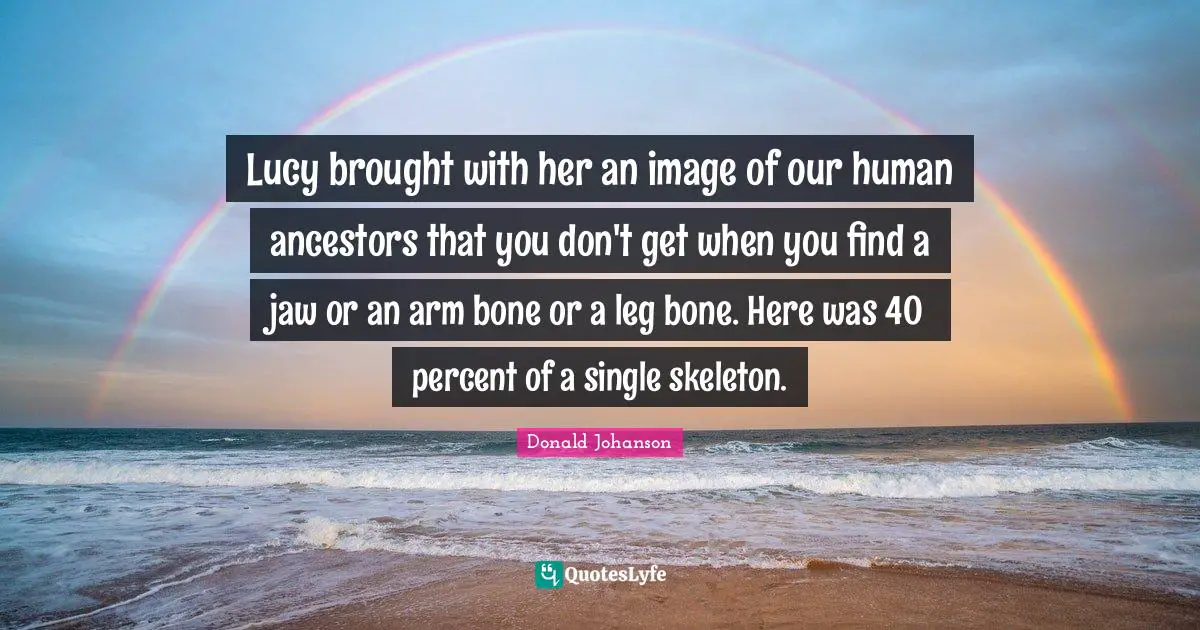 Lucy brought with her an image of our human ancestors that you don't get when you find a jaw or an arm bone or a leg bone. Here was 40 percent of a single skeleton.