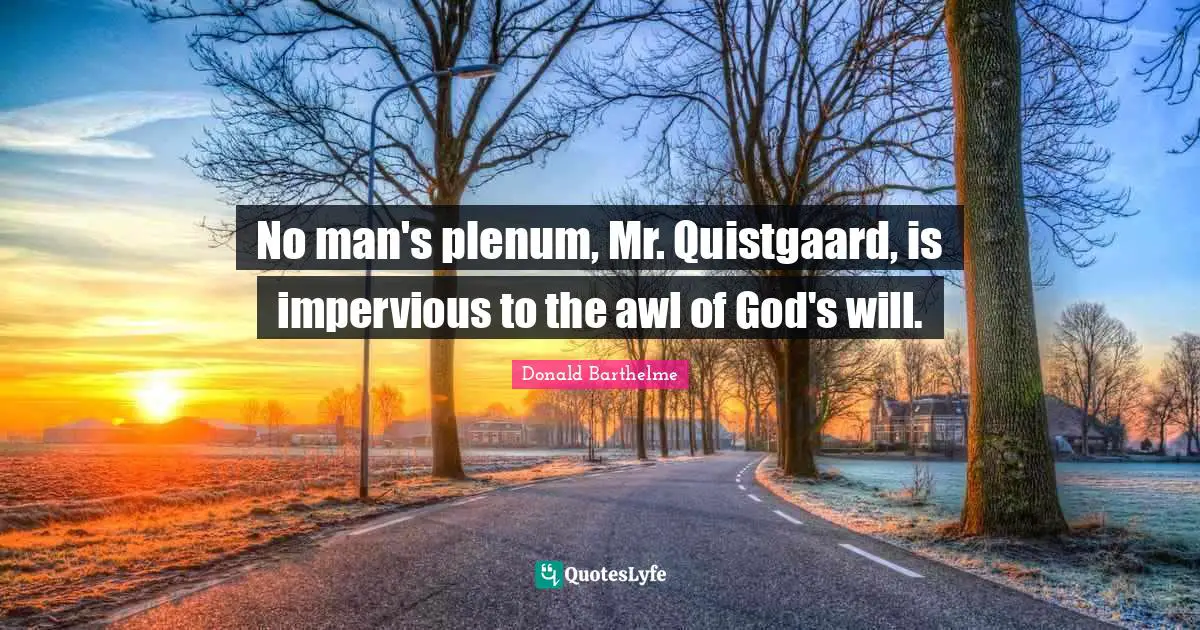 No man's plenum, Mr. Quistgaard, is impervious to the awl of God's will.