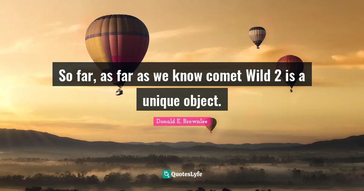 So far, as far as we know comet Wild 2 is a unique object.