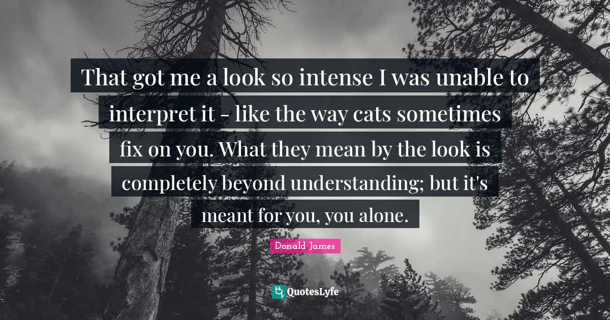 That got me a look so intense I was unable to interpret it - like the way cats sometimes fix on you. What they mean by the look is completely beyond understanding; but it's meant for you, you alone.
