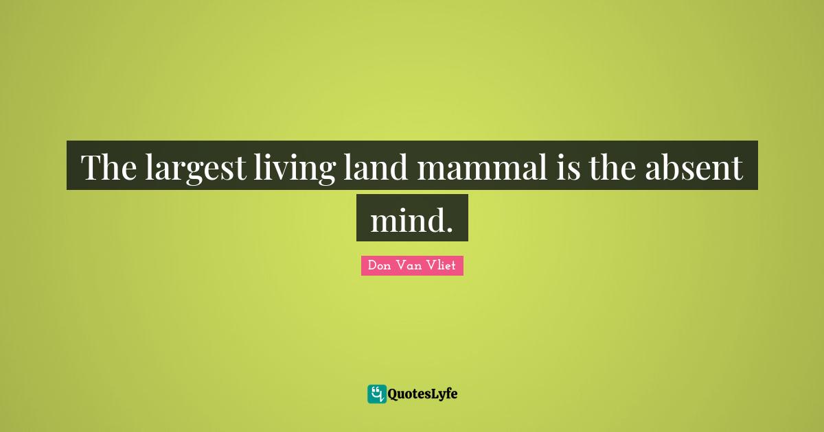 Absent Quotes: "The largest living land mammal is the absent mind."