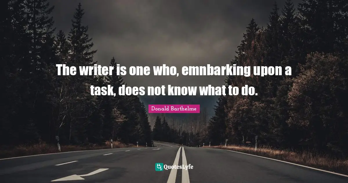 The writer is one who, emnbarking upon a task, does not know what to do.