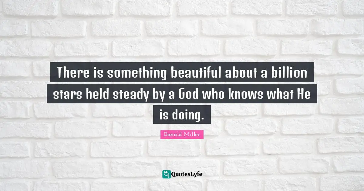 Donald Miller Quotes: "There is something beautiful about a billion stars held steady by a God who knows what He is doing."