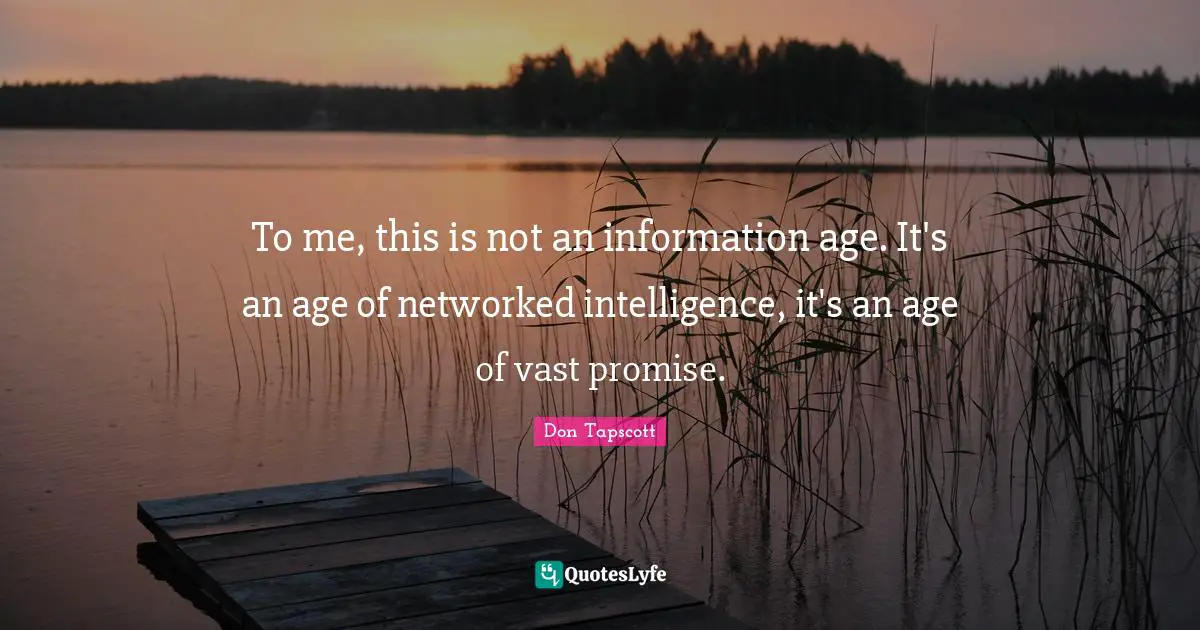 To me, this is not an information age. It's an age of networked intelligence, it's an age of vast promise.