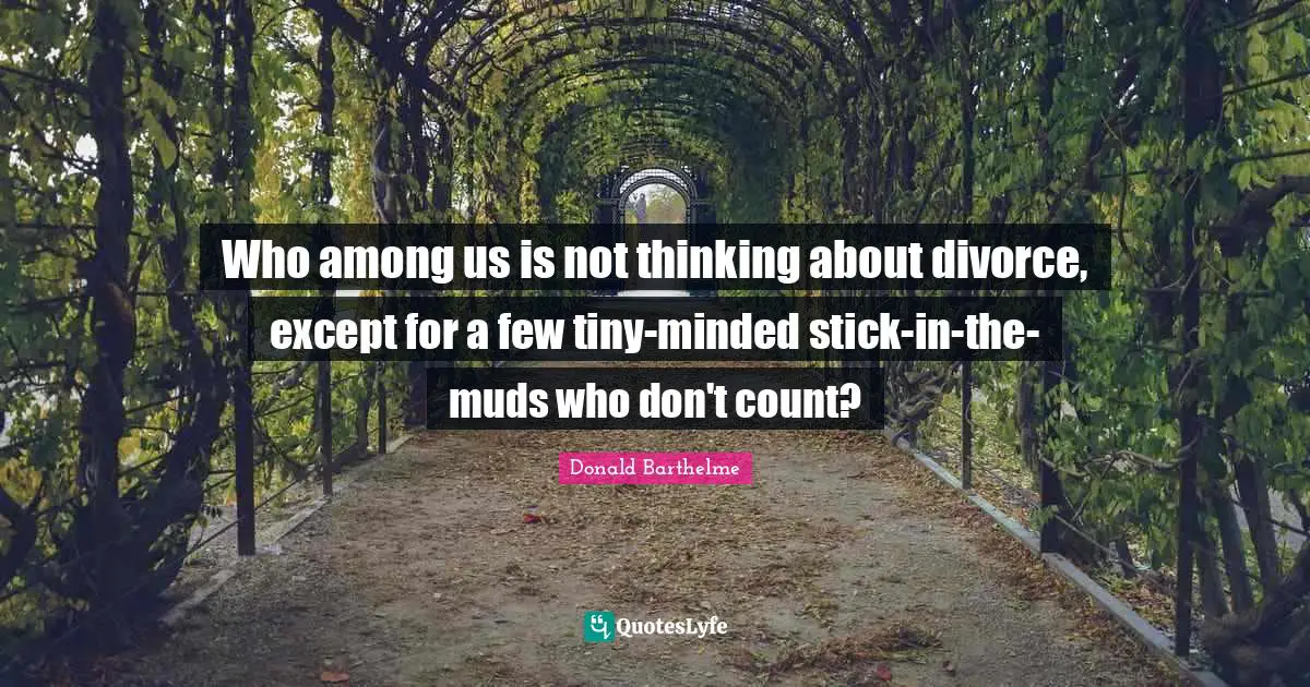Who among us is not thinking about divorce, except for a few tiny-minded stick-in-the-muds who don't count?