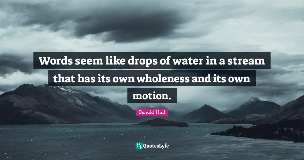 Words seem like drops of water in a stream that has its own wholeness and its own motion.