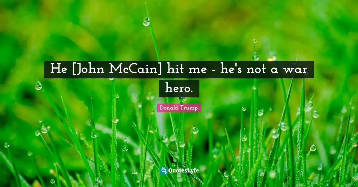 He [John McCain] hit me - he's not a war hero.