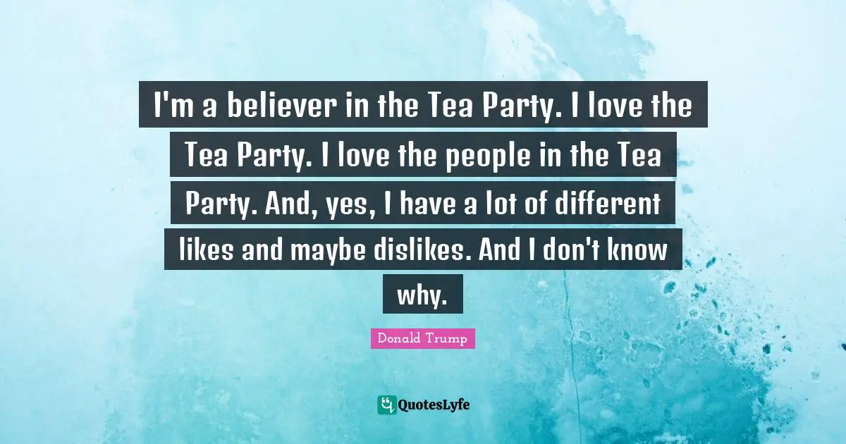 I'm a believer in the Tea Party. I love the Tea Party. I love the people in the Tea Party. And, yes, I have a lot of different likes and maybe dislikes. And I don't know why.