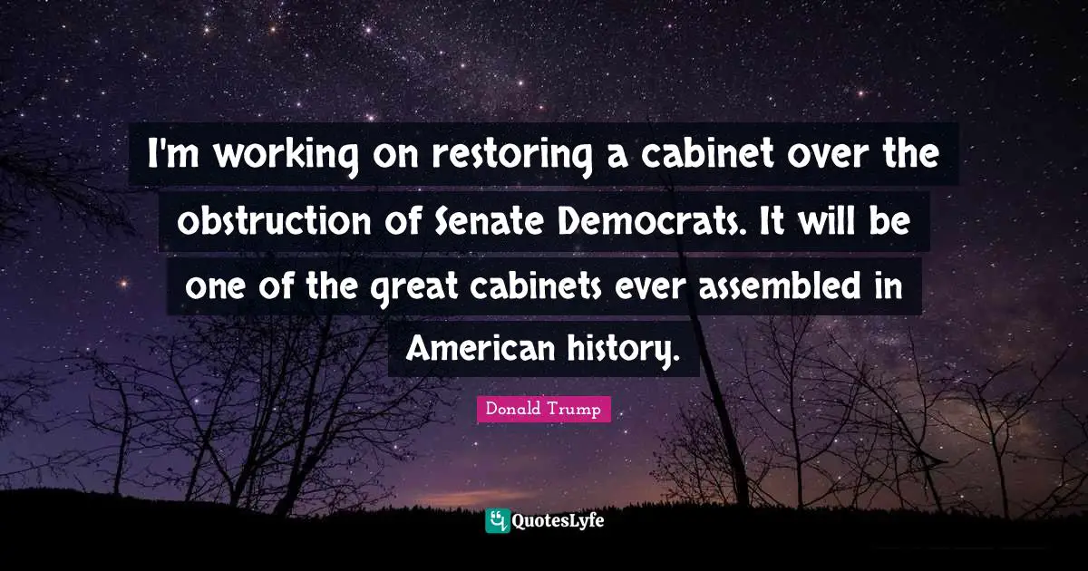 I'm working on restoring a cabinet over the obstruction of Senate Democrats. It will be one of the great cabinets ever assembled in American history.
