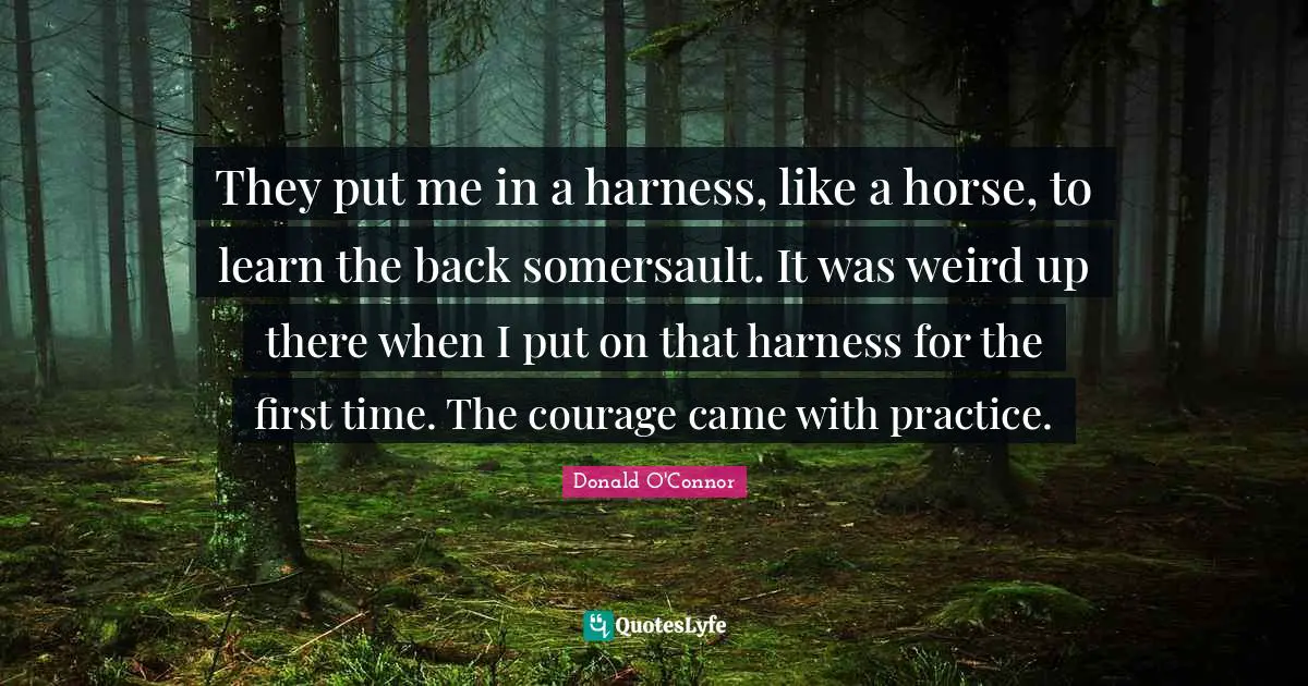 They put me in a harness, like a horse, to learn the back somersault. It was weird up there when I put on that harness for the first time. The courage came with practice.