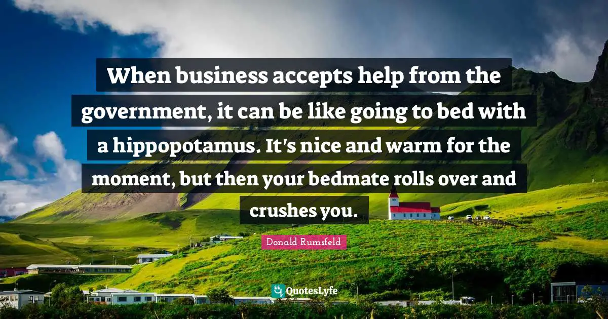 Donald Rumsfeld Quotes: When business accepts help from the government, it can be like going to bed with a hippopotamus. It's nice and warm for the moment, but then your bedmate rolls over and crushes you.