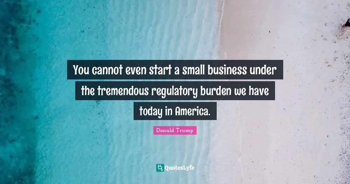 You cannot even start a small business under the tremendous regulatory burden we have today in America.
