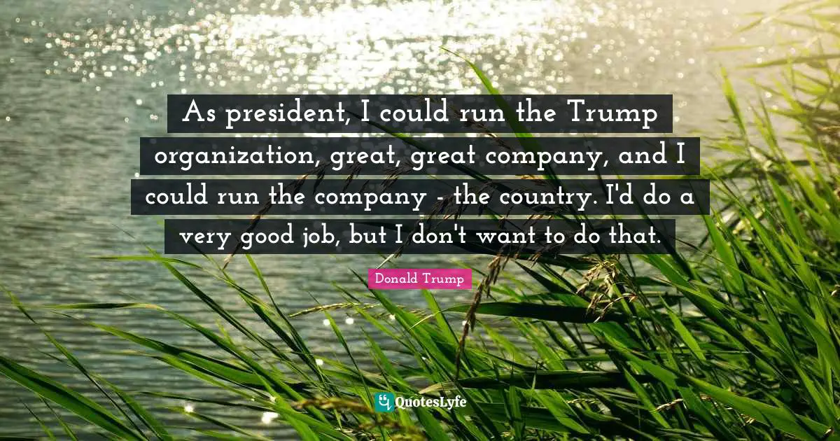 As president, I could run the Trump organization, great, great company, and I could run the company - the country. I'd do a very good job, but I don't want to do that.