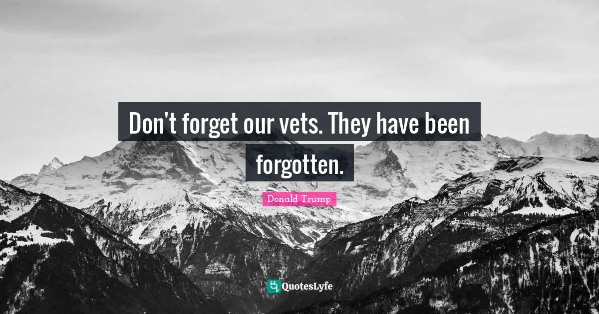 Vets Quotes: "Don't forget our vets. They have been forgotten."