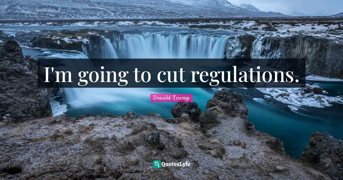 I'm going to cut regulations.