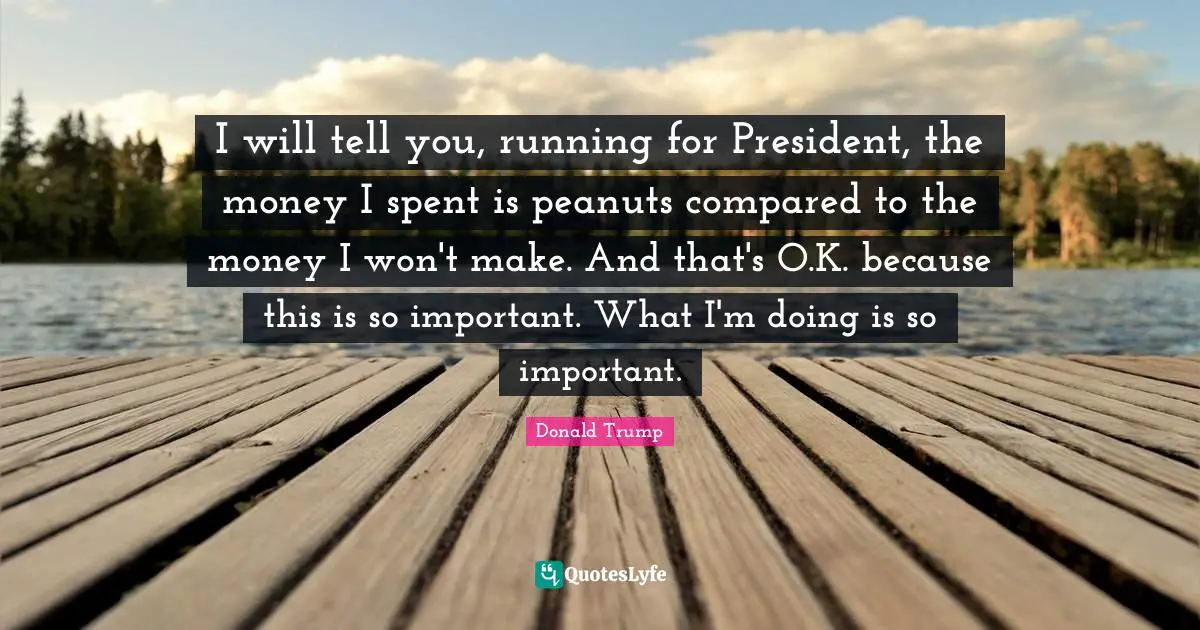 I will tell you, running for President, the money I spent is peanuts compared to the money I won't make. And that's O.K. because this is so important. What I'm doing is so important.