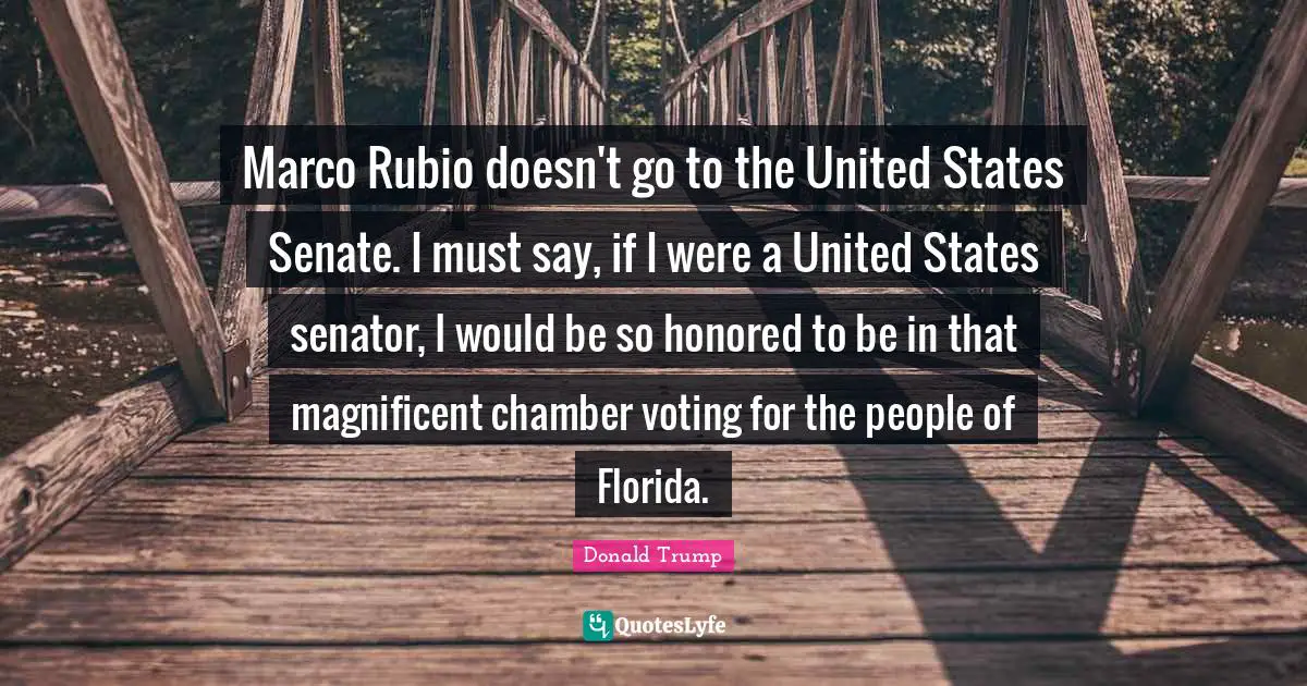 Marco Rubio doesn't go to the United States Senate. I must say, if I were a United States senator, I would be so honored to be in that magnificent chamber voting for the people of Florida.