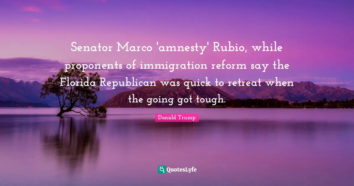 Senator Marco 'amnesty' Rubio, while proponents of immigration reform say the Florida Republican was quick to retreat when the going got tough.