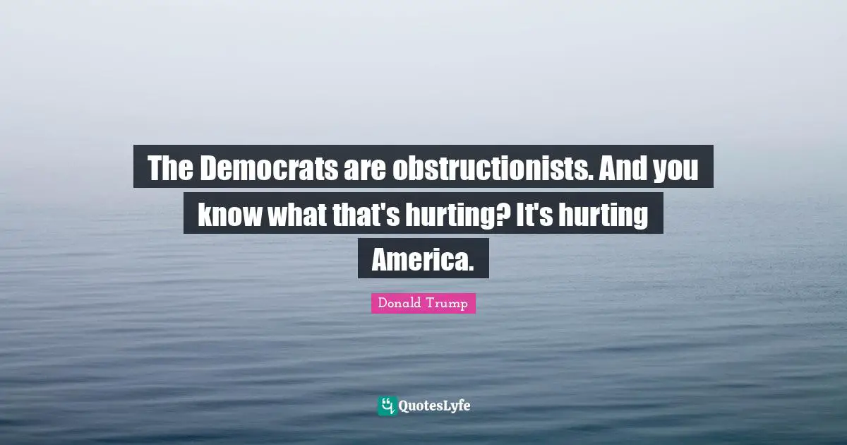 The Democrats are obstructionists. And you know what that's hurting? It's hurting America.