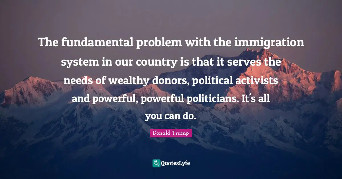 The fundamental problem with the immigration system in our country is that it serves the needs of wealthy donors, political activists and powerful, powerful politicians. It's all you can do.